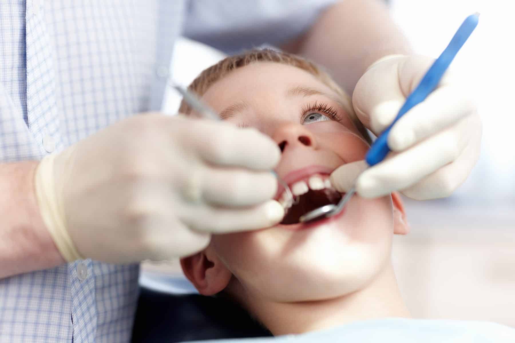 Young boy at dental cleaning office in Thornton, CO