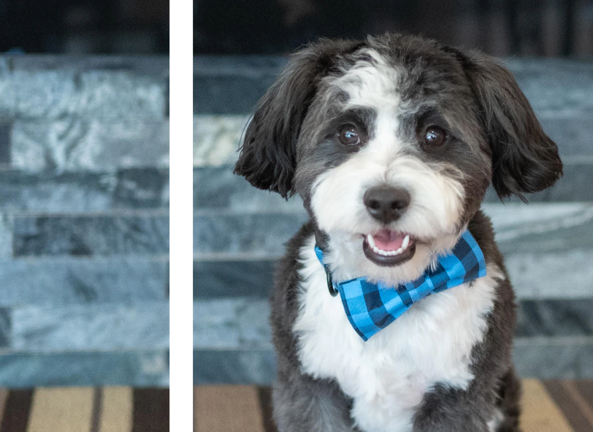 Mobile_Meet_the_team_Osseo_Our Desktop Meet the team Osseo Our